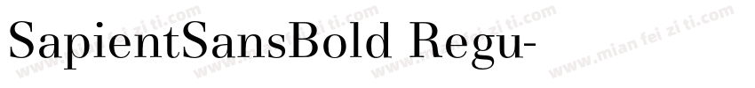 SapientSansBold Regu字体转换
